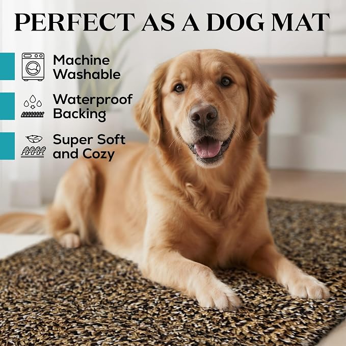 Premium Microfiber Indoor Door Mat – 20"x30" Washable Entry Mat, Waterproof