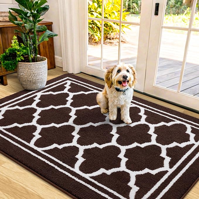 Buganda Indoor Door Mat, Dirt-Resistant and Absorbent Doormat, Low Profile