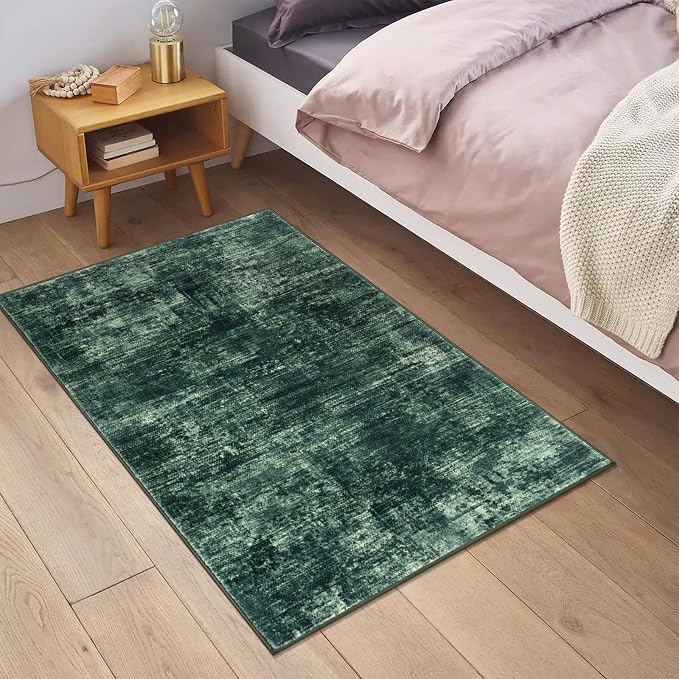 IOHOUZE Small Abstract Area Rug 2x3 Ft Entryway Rugs Washable Door Mat Indoor
