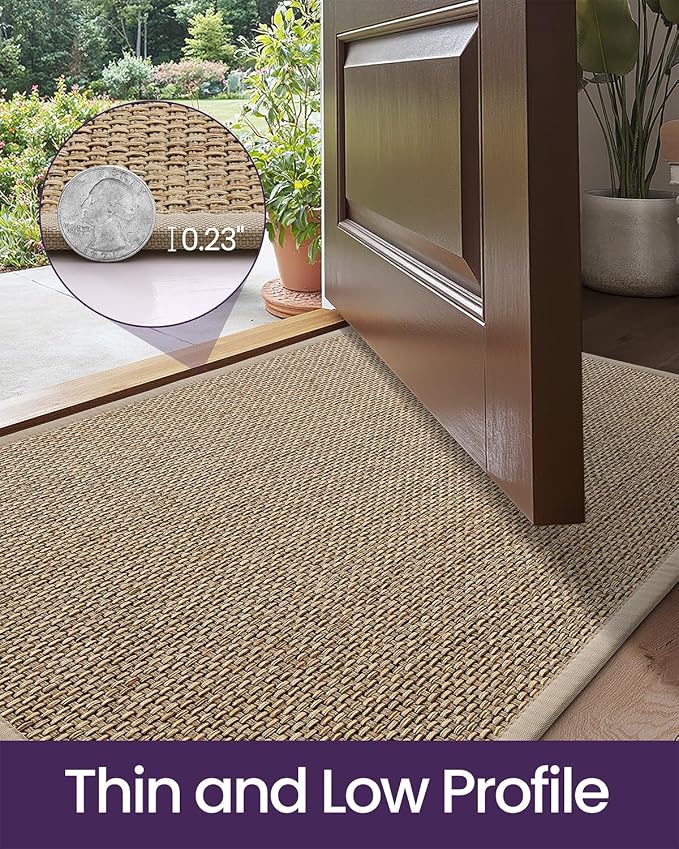 DEXI Ultra Thin Entryway Indoor Door Mat 36x56, Non Slip Rubber Backing Inside