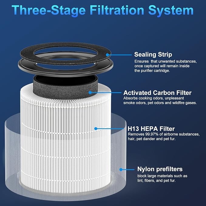Tailulu 2 Pack D10 Replacement Filter, Air Purifier Filter