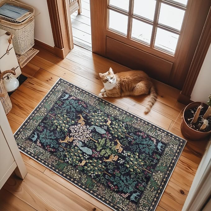 2x3 Washable Throw Rugs for Entryway: Door Mat Indoor Entrance Small Area Rug
