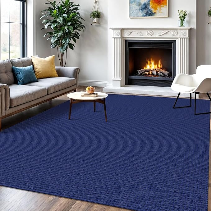 IOHOUZE Washable Area Rug 6x9 Non Slip Rugs