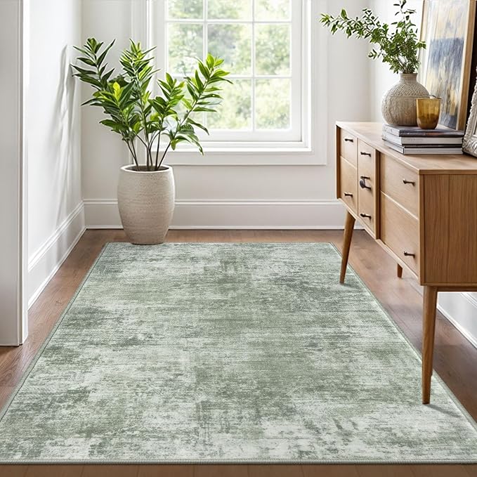 IOHOUZE Abstract Area Rug 4x6 Ft Washable Rugs