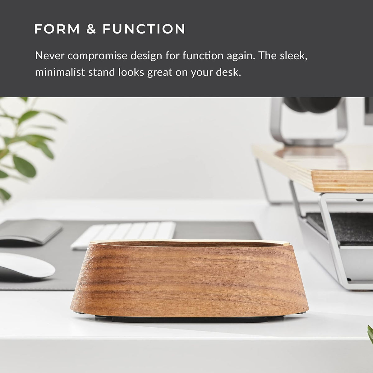 HumanCentric Vertical Laptop Stand in Black Walnut Wood, Adjustable