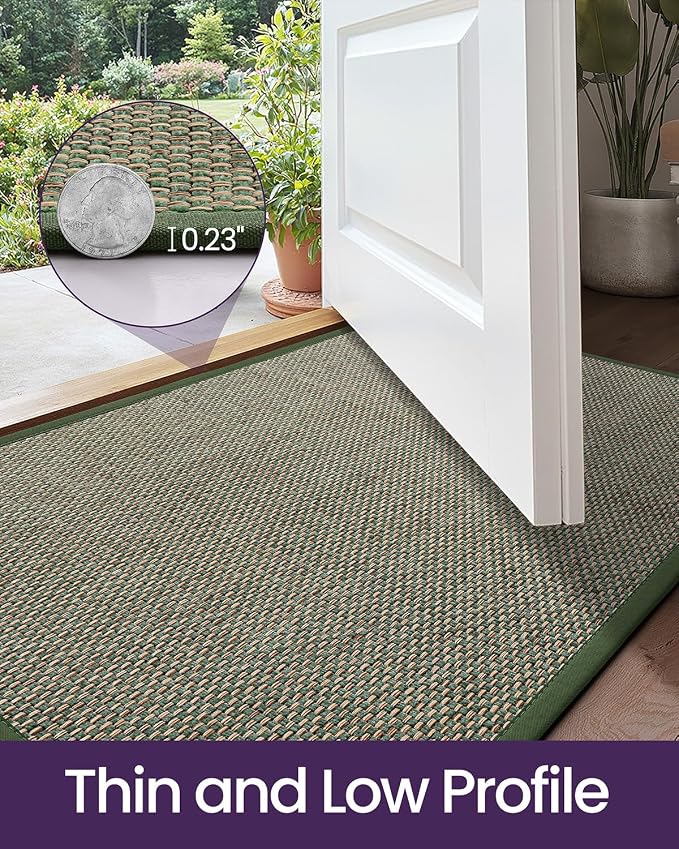 DEXI Ultra Thin Entryway Indoor Door Mat 24x36, Non Slip Rubber Backing Inside