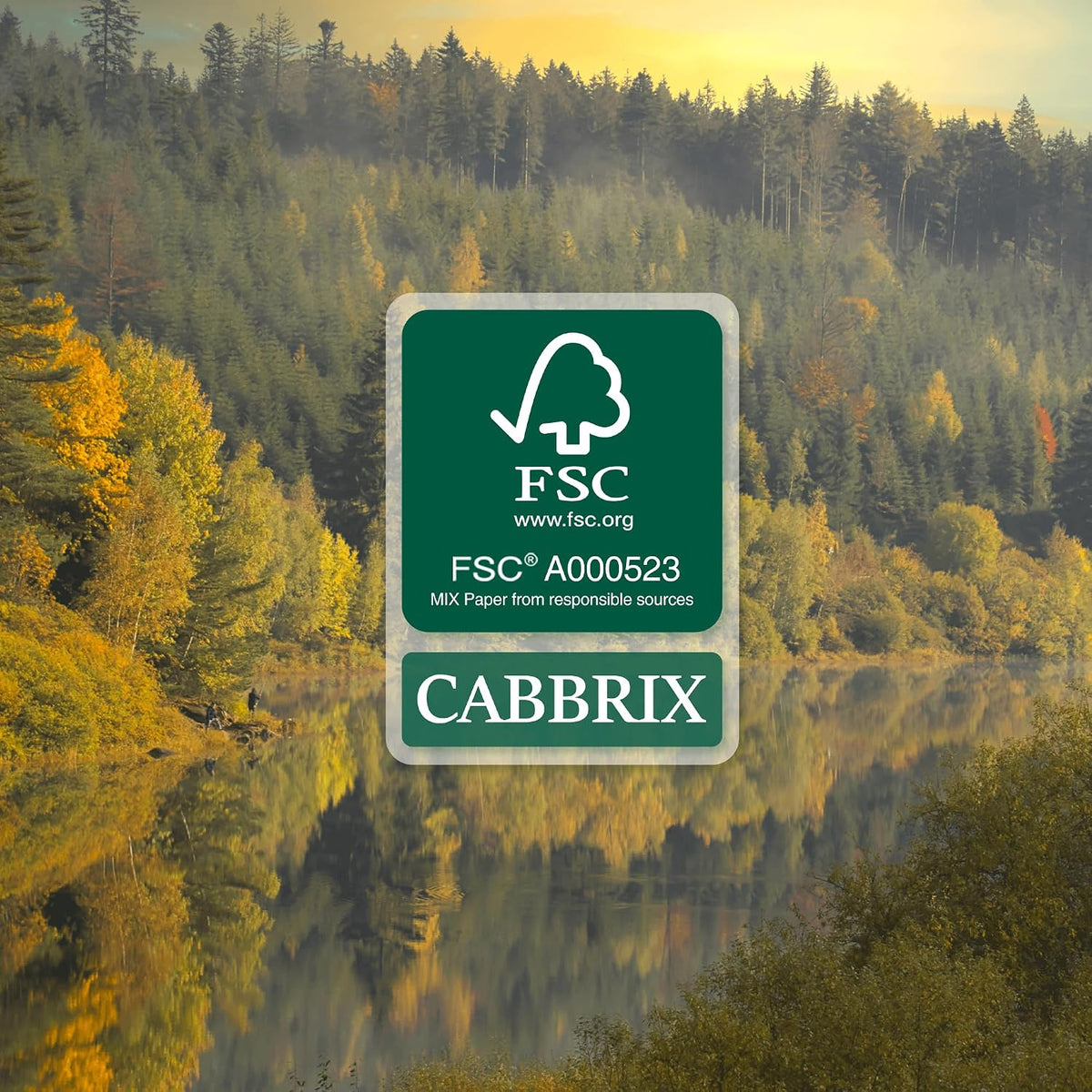 Cabbrix Desk Calendar 2027, Large Desk Pad Calendar 22 x 17" (Black)