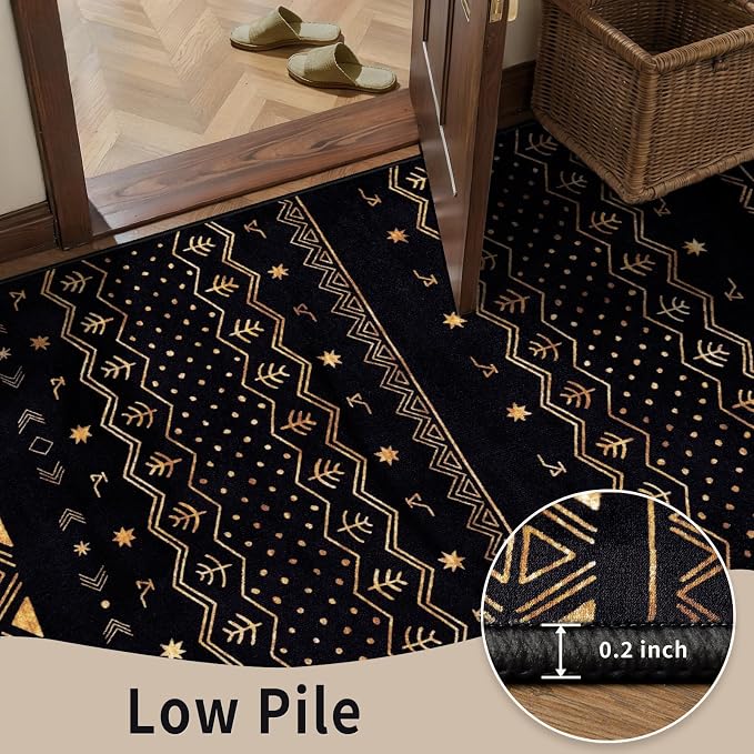 SERISSA 3x5 Area Rugs for Living Room, Washable Non-Slip Black and Gold Small
