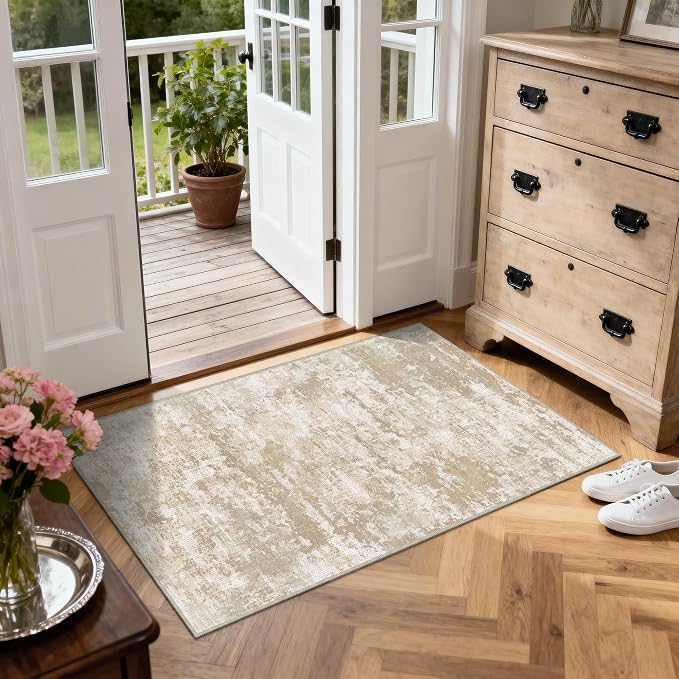 3x5 Area Rug Washable Entryway Rug Non Slip Abstract Tear and Stain Resistance