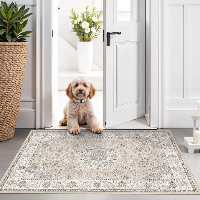 Washable 2x3 Entryway Area Rug
