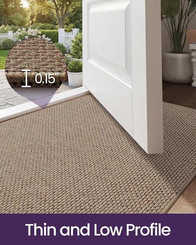 DEXI Ultra Thin Door Mat Indoor Entrance 32x48, Non Slip Rubber Backed Entryway