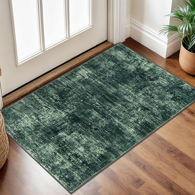 IOHOUZE Small Abstract Area Rug 2x3 Ft Entryway Rugs Washable Door Mat Indoor