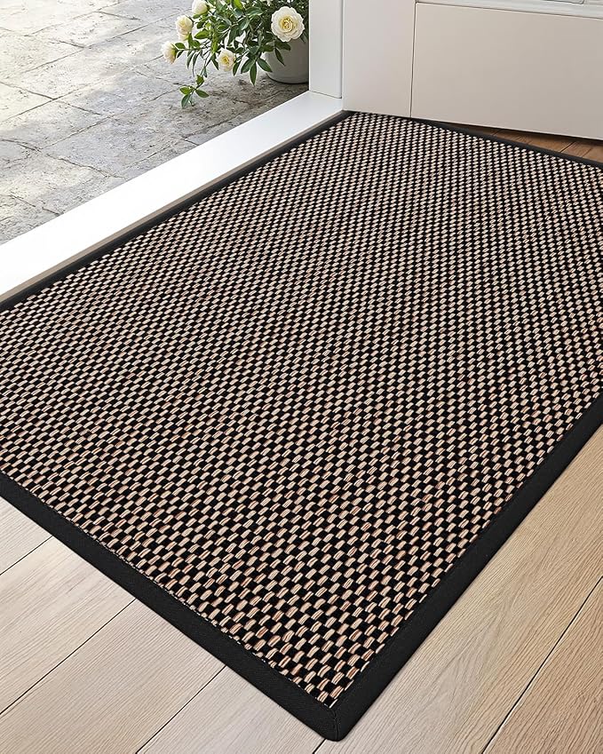 DEXI Ultra Thin Entryway Indoor Door Mat 17x30, Non Slip Rubber Backing Inside