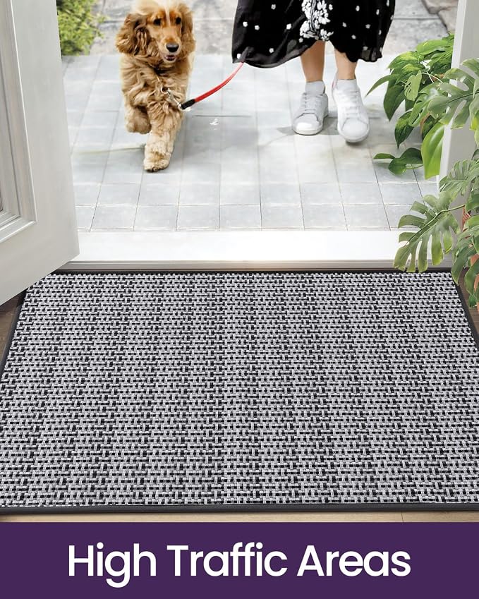 DEXI Ultra Thin Door Mat Indoor Entrance 36x56, Non Slip Rubber Backed Entryway