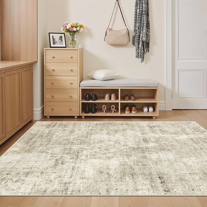 Soalmost 3x5 Rug, Small Area Rug