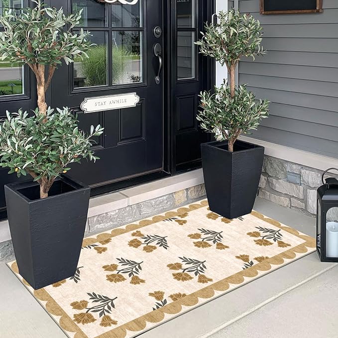 Front Door Mat Indoor Entrance