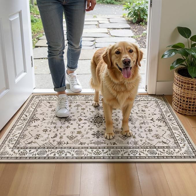 HEBE Washable Aera Rug 2'x 3' Non Slip Door Mat Indoor Entrance, Low Pile