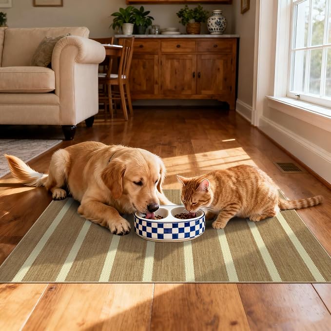 Front Door Rug - 2x3 Non-Slip Door Mat Washable Doormat Indoor Outdoor Entrance