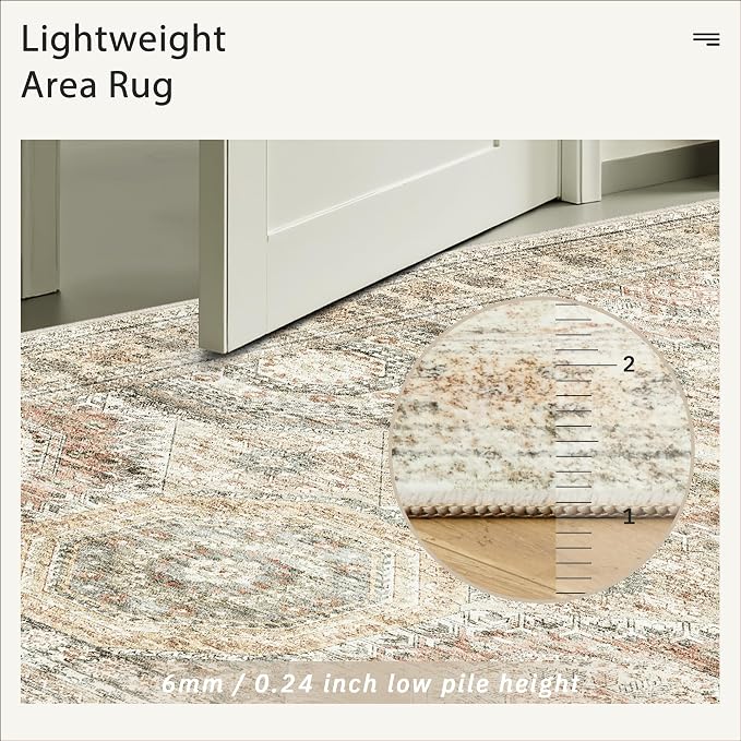 Soalmost 10x14 Area Rugs for Living Room, Non Slip Machine Washable Vintage Rugs