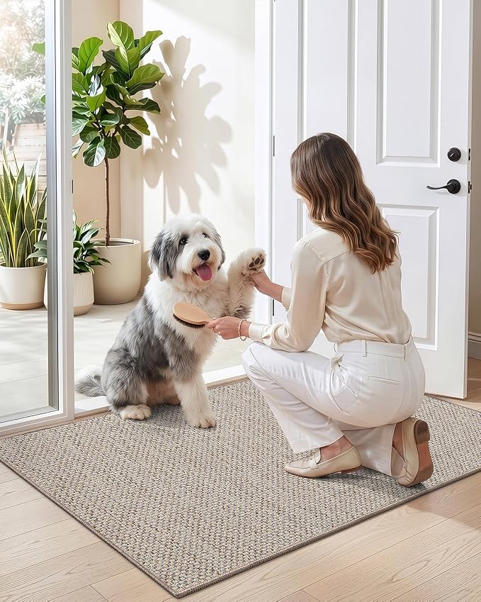 DEXI Ultra Thin Door Mat Indoor Entrance 48x72, Non Slip Rubber Backed Entryway