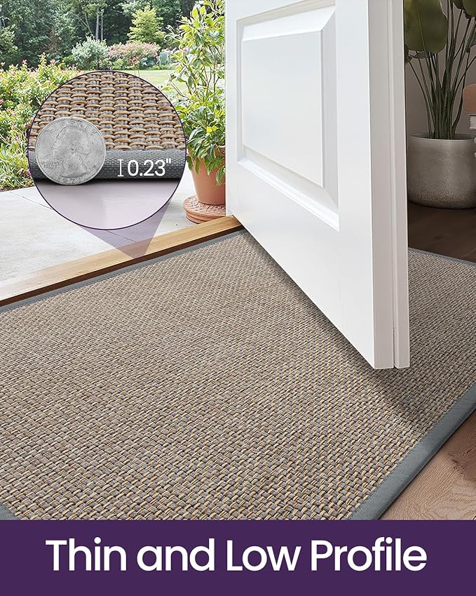 DEXI Ultra Thin Entryway Indoor Door Mat 36x56, Non Slip Rubber Backing Inside