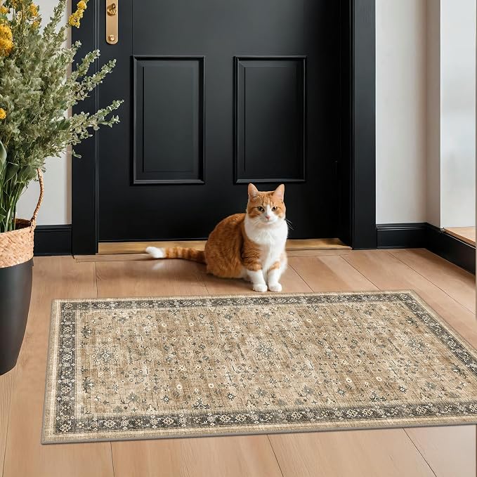 Vintage Boho 2x4 Area Rug for Entryway