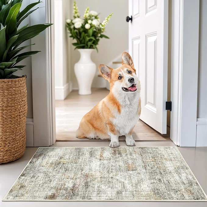 2x3 Washable Rug Runner for Bathroom, Soft Entryway Rug for Laundry Room