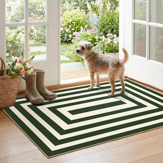 Modern Outdoor Rug