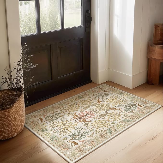 Machine Washable Small Rugs for Entryway: 2x3 Throw Kitchen Rug Door Mat Indoor