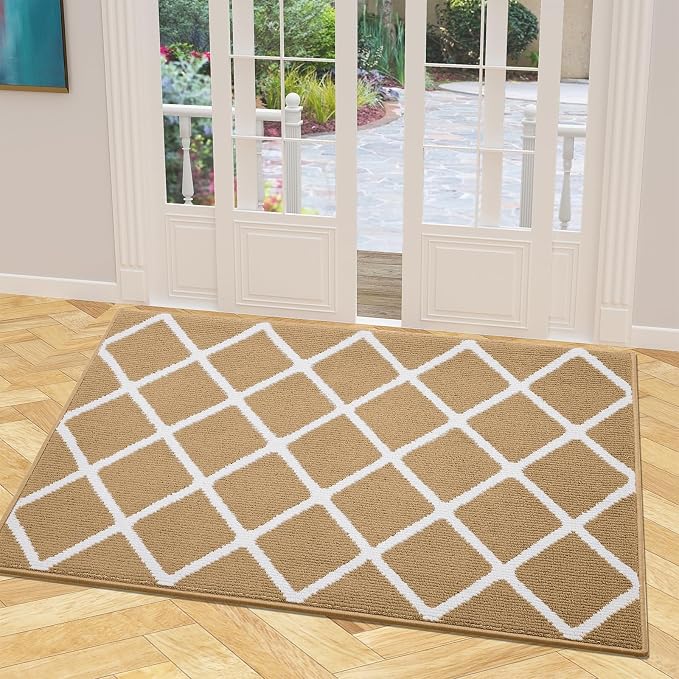 Finchitty Indoor Door Mat, Dirt Resistant and Absorbent, Low-Profile, Washable