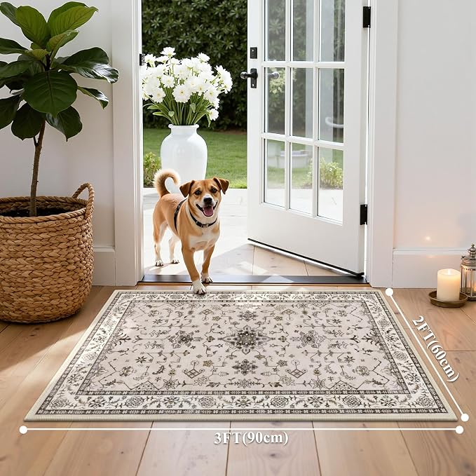 HEBE Washable Aera Rug 2'x 3' Non Slip Door Mat Indoor Entrance, Low Pile