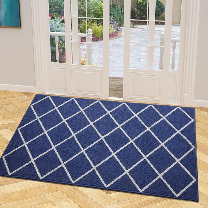 Finchitty Indoor Door Mat, Dirt Resistant and Absorbent, Low-Profile, Washable