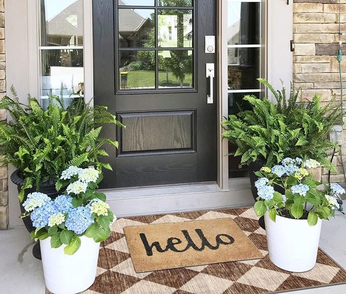 Checkered Entryway Rug