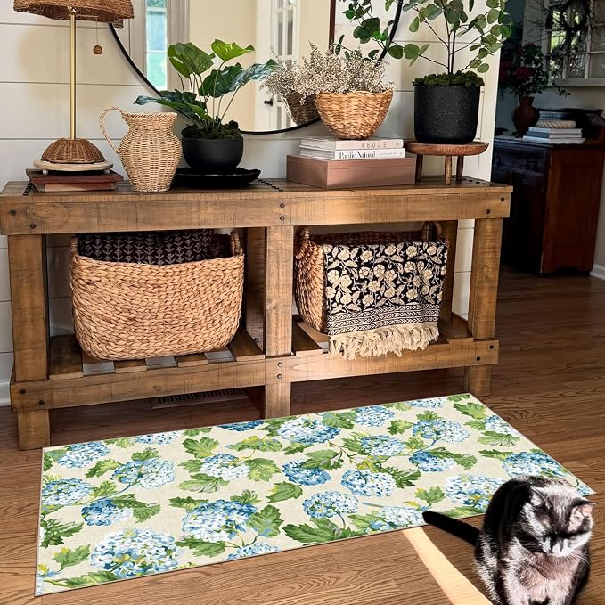 Front Door Mat Indoor Entrance