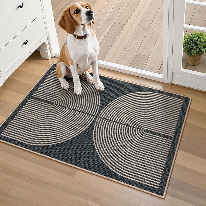 Lahome Enfys Rainbow Indoor Door Mat, Farmhouse Non Slip Non Shedding