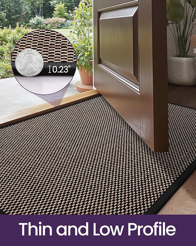 DEXI Ultra Thin Entryway Indoor Door Mat 17x30, Non Slip Rubber Backing Inside
