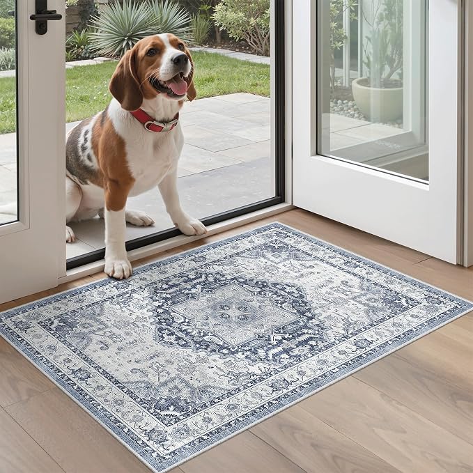 Madane Washable Area Rug 2x3, Small Entryway Rug Non-Slip Vintage Door Mat