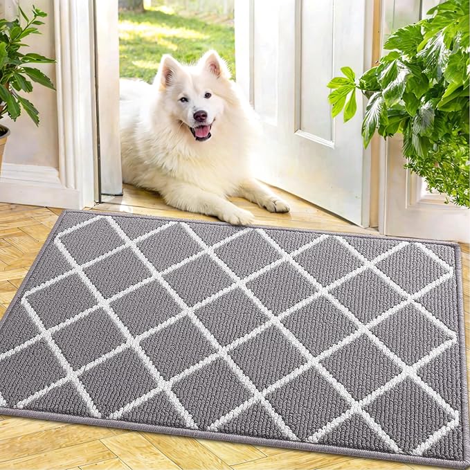 Finchitty Indoor Door Mat, Dirt Resistant and Absorbent, Low-Profile, Washable