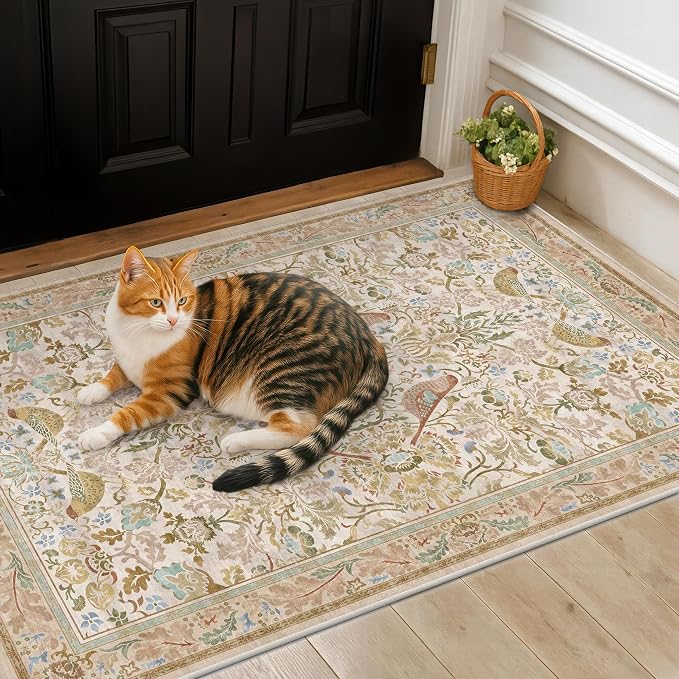 Large Entryway Rugs Indoor
