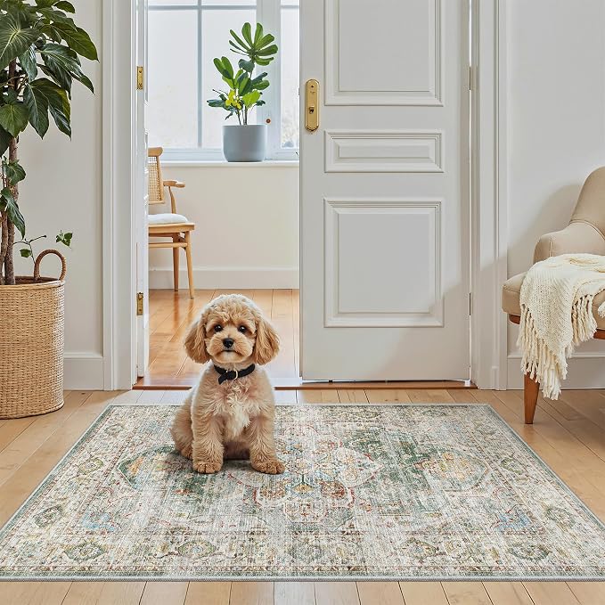 Madane Washable Area Rug 2x3, Small Entryway Rug Non-Slip Vintage Door Mat