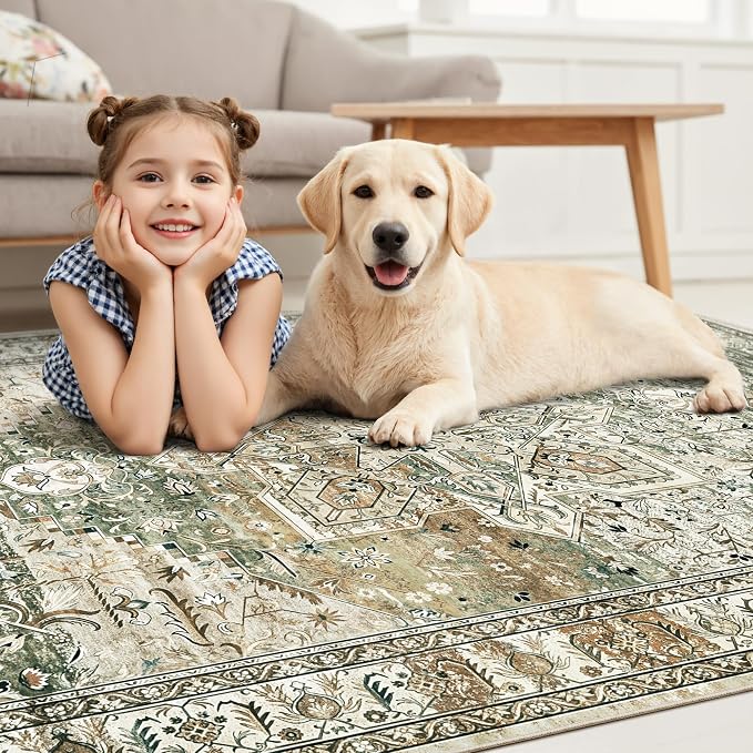 Soalmost Washable Area Rug 8x10, Large Soft Rugs