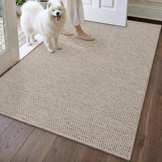 DEXI Ultra Thin Door Mat Indoor Entrance 48x72, Non Slip Rubber Backed Entryway