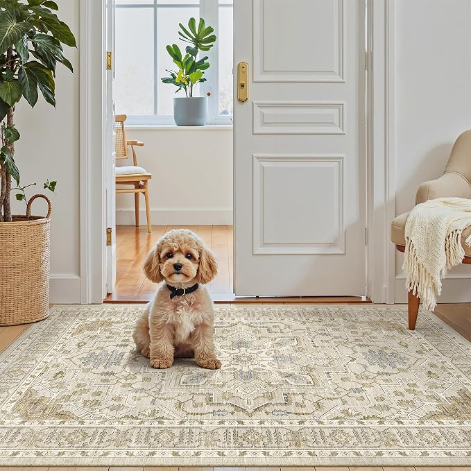 Madane Washable Entry Rug 3x4, Area Rugs