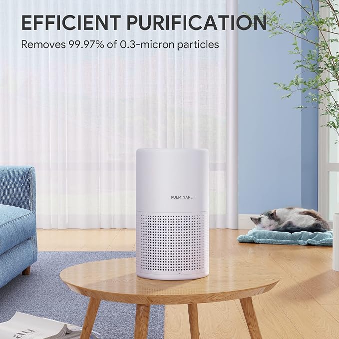 Air Purifiers for Bedroom, FULMINARE H13 True HEPA Air Filter, Quiet Air Cleaner