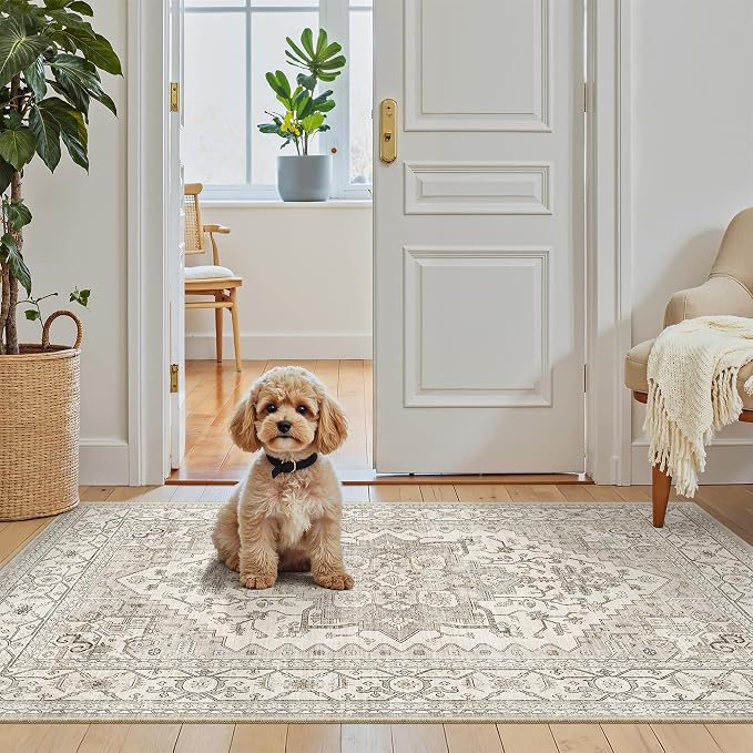 Madane Washable Area Rug 2x4, Small Entryway Rug Non-Slip Vintage Door Mat