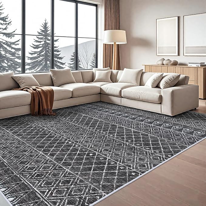 10 x 12 Area Rug