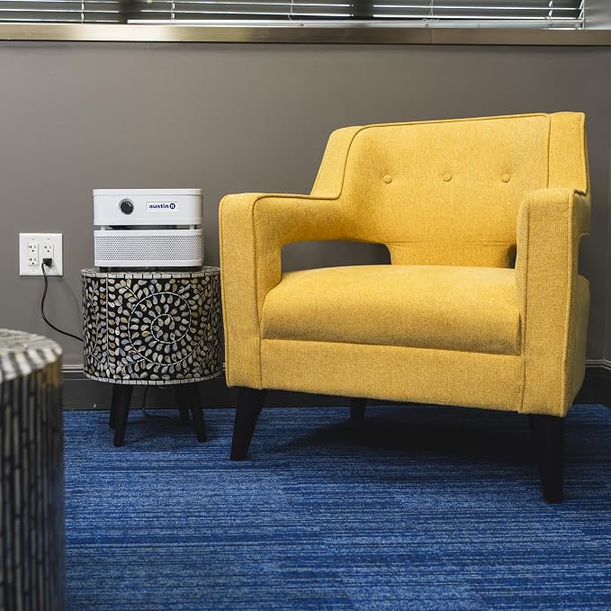 Austin Air it Personal Air Purifier