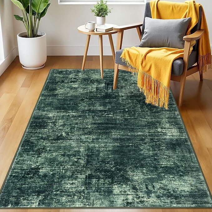 IOHOUZE Abstract Area Rug 3x5 Ft Washable Rugs