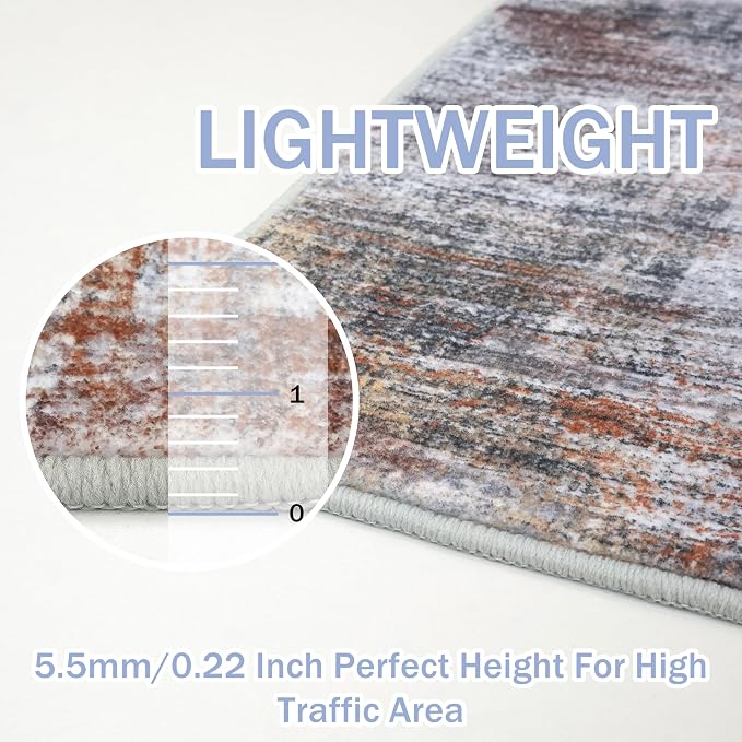 IOHOUZE Abstract Area Rugs 6x9 Ft Washable Rugs