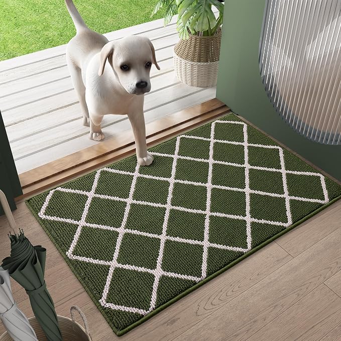 Finchitty Indoor Door Mat, Dirt Resistant and Absorbent, Low-Profile, Washable